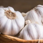 garlic-Google-Find